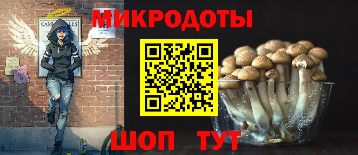 Галлюциногенные грибы Cubensis  Вход с VPN  Великий Устюг 